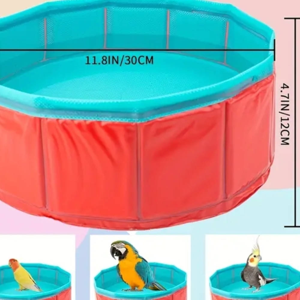 Bird Swimming Pool - Picture 2 of 6